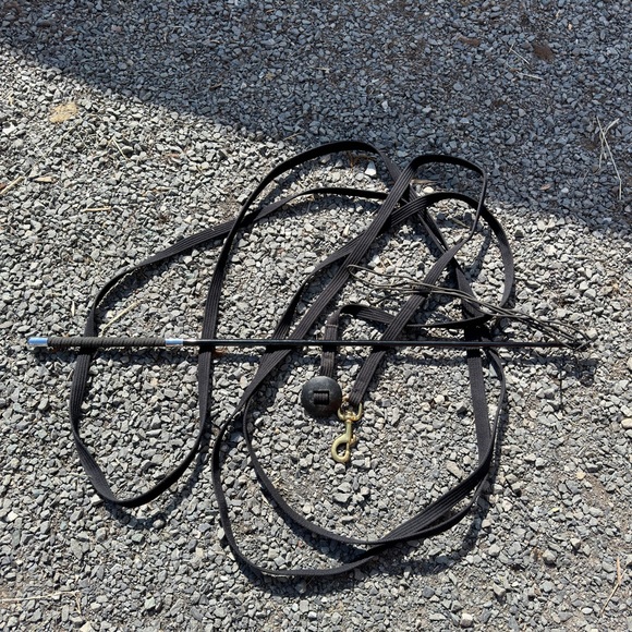 Lunge line and and whip - Picture 4 of 5